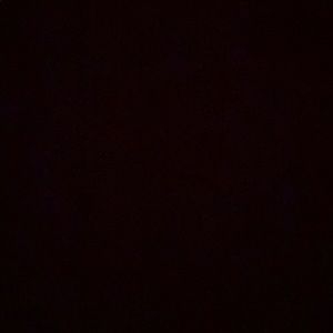 Meet your Posher, Ava